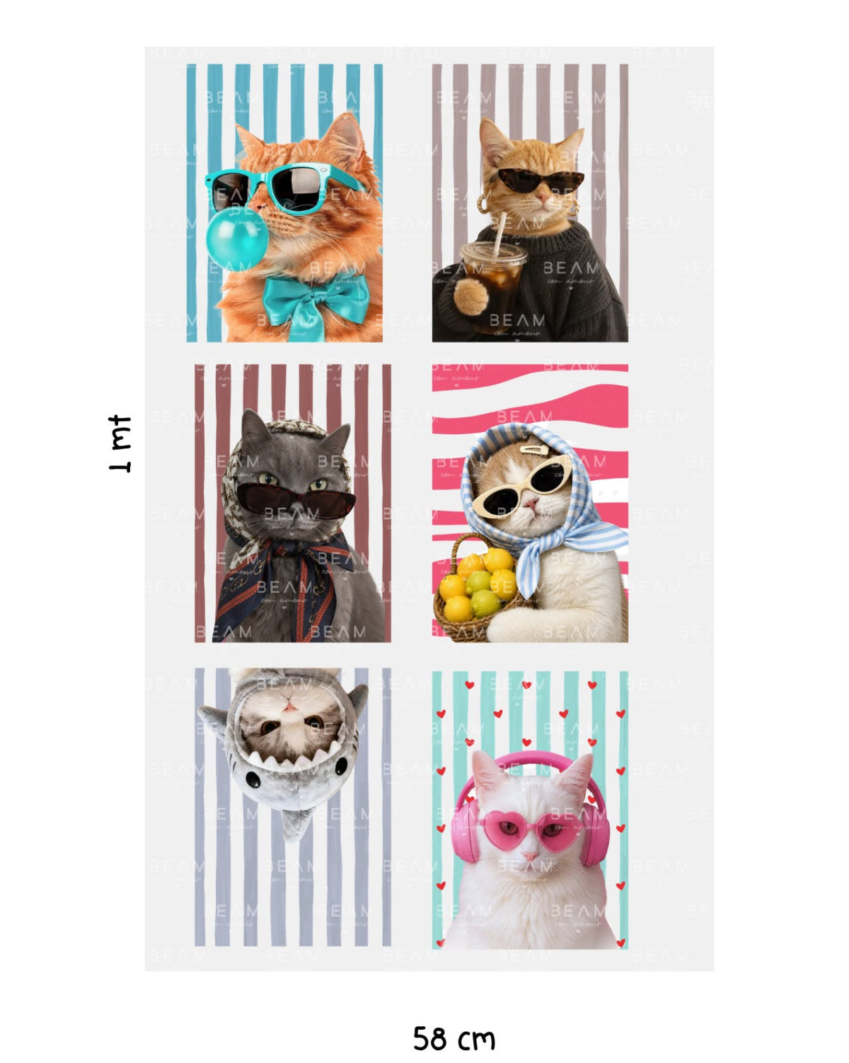 Cool cat