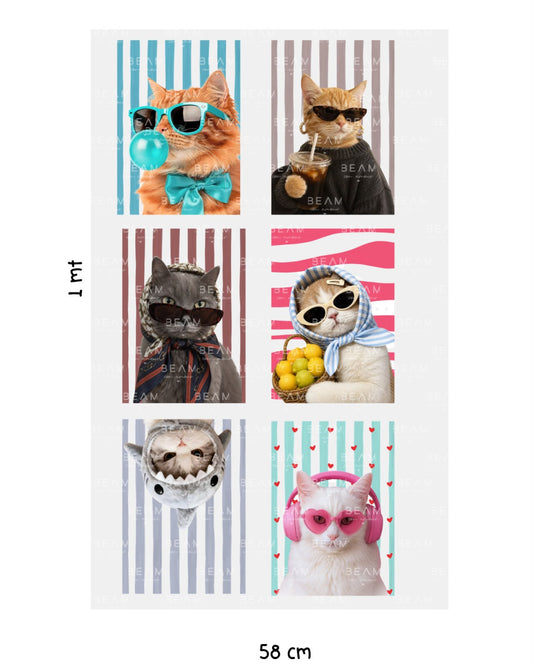 Cool cat